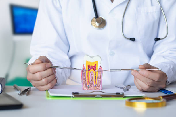 Best Emergency Dental Extractions in Sawmills, NC